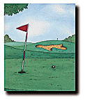 Cover of the personalized book, My Golf Adventure, adult gag book