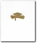 Cover of The Graduation book personalized book