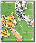 Cover of the personalized book, The Soccer Book